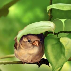 story of a little bird