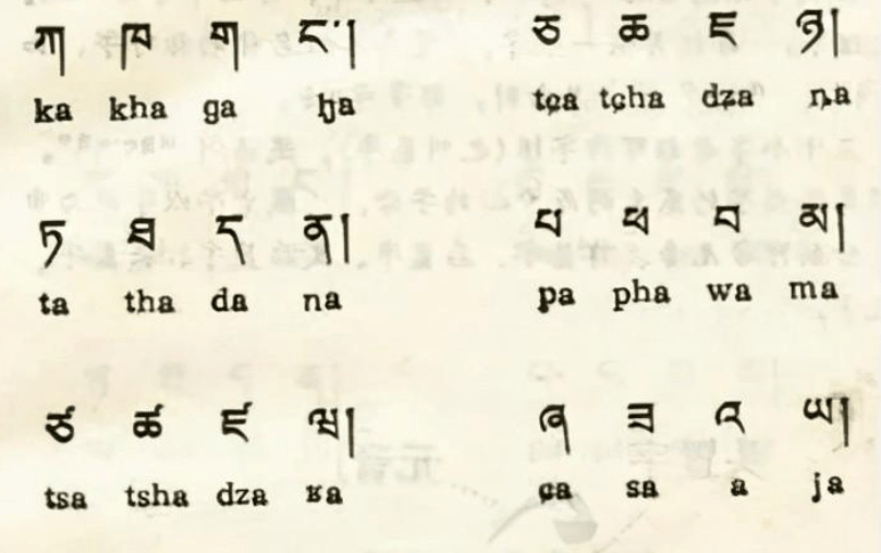 Mandrin Chinese and Tibetan Language have many similarities