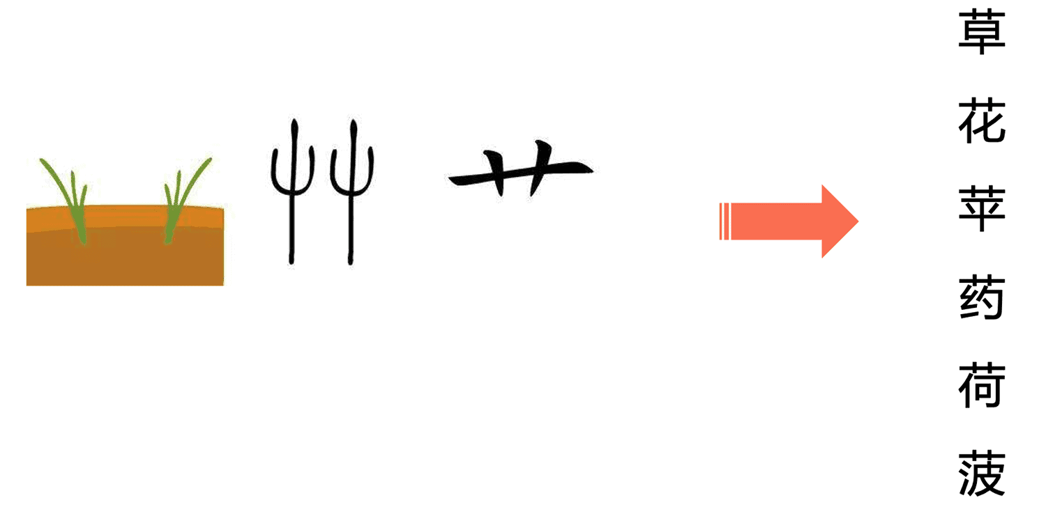 an image showcase the  radical of chinese character "cao"