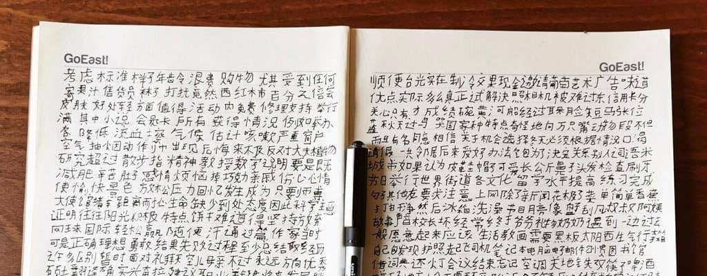 a photo of a book showing Chinese character handwriting