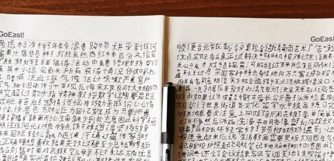 a photo of a book showing Chinese character handwriting