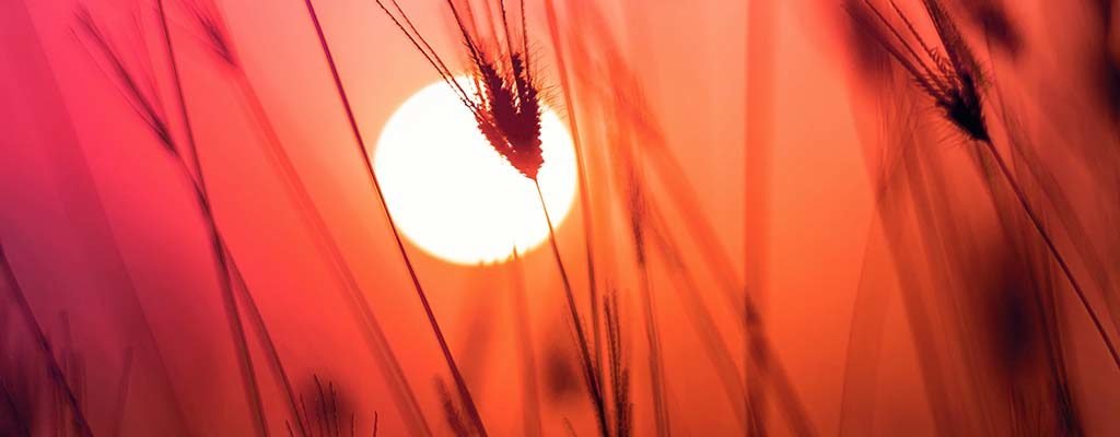 How to use 起来qilai in Chinese