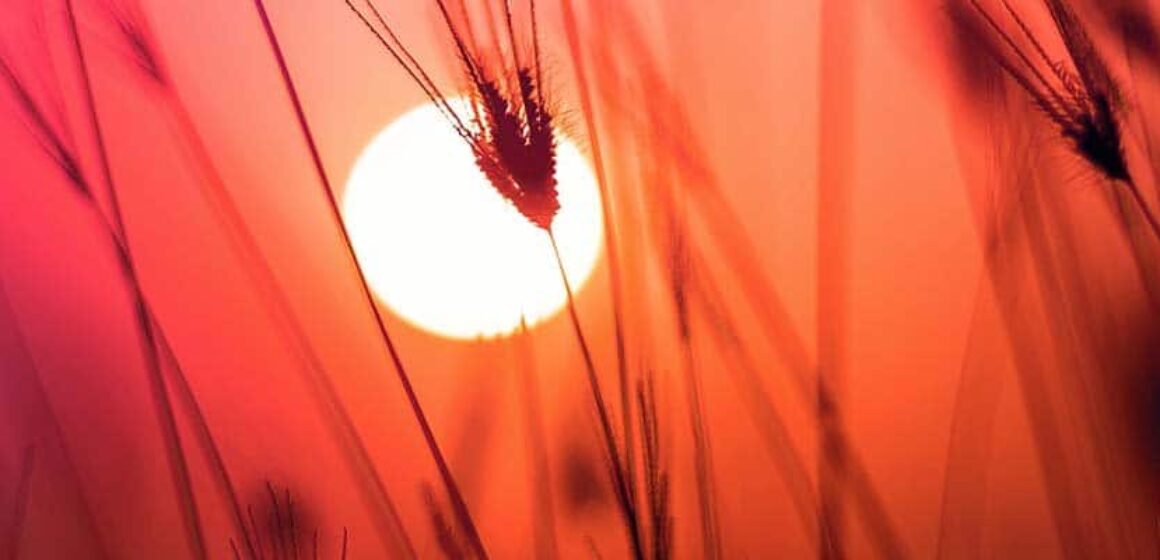 How to use 起来qilai in Chinese