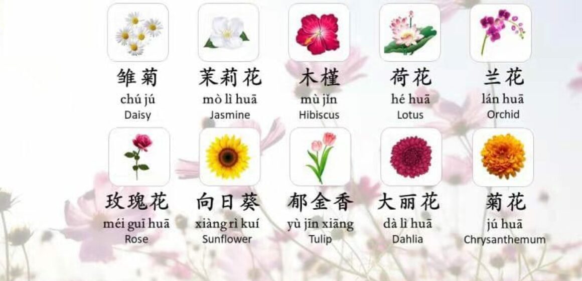 cover image for goeast mandarin's post on how to say fowers in chinese
