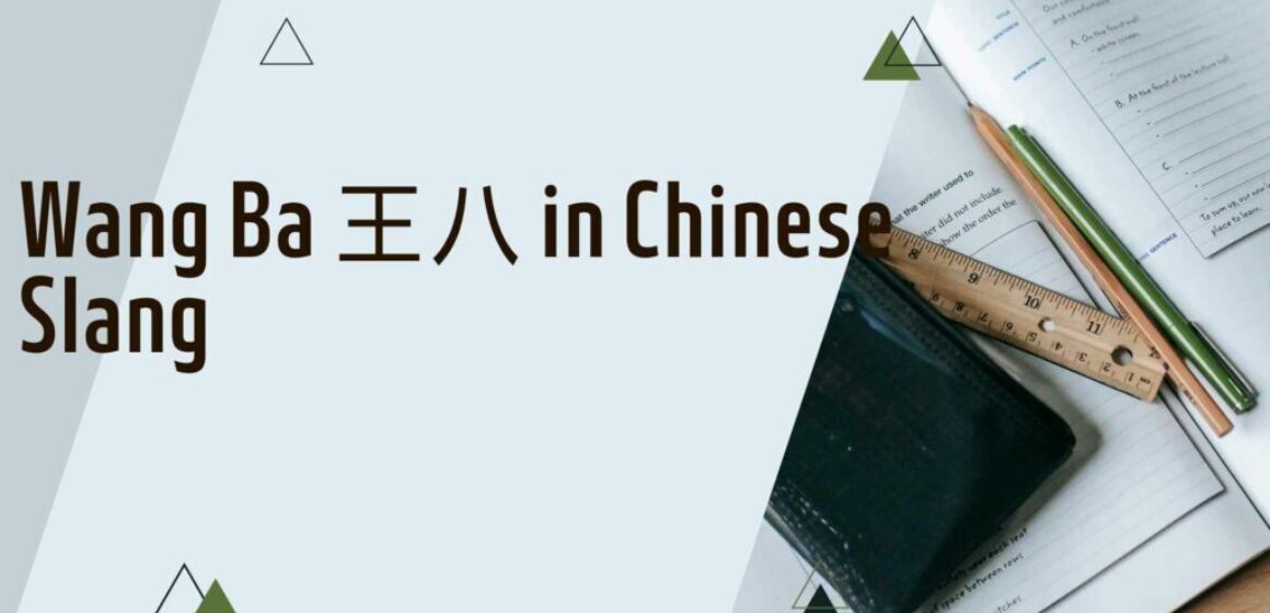 Turtle Wang Ba 王八 in Chinese Slang