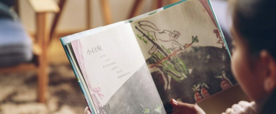 Leanr Mandarin Chinese for Kids witth GoEast