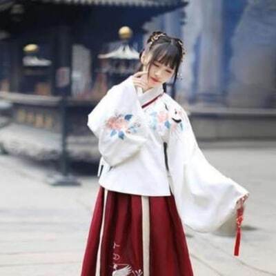 hanfu - ao qun