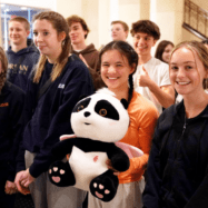 171930062422962_P29222022