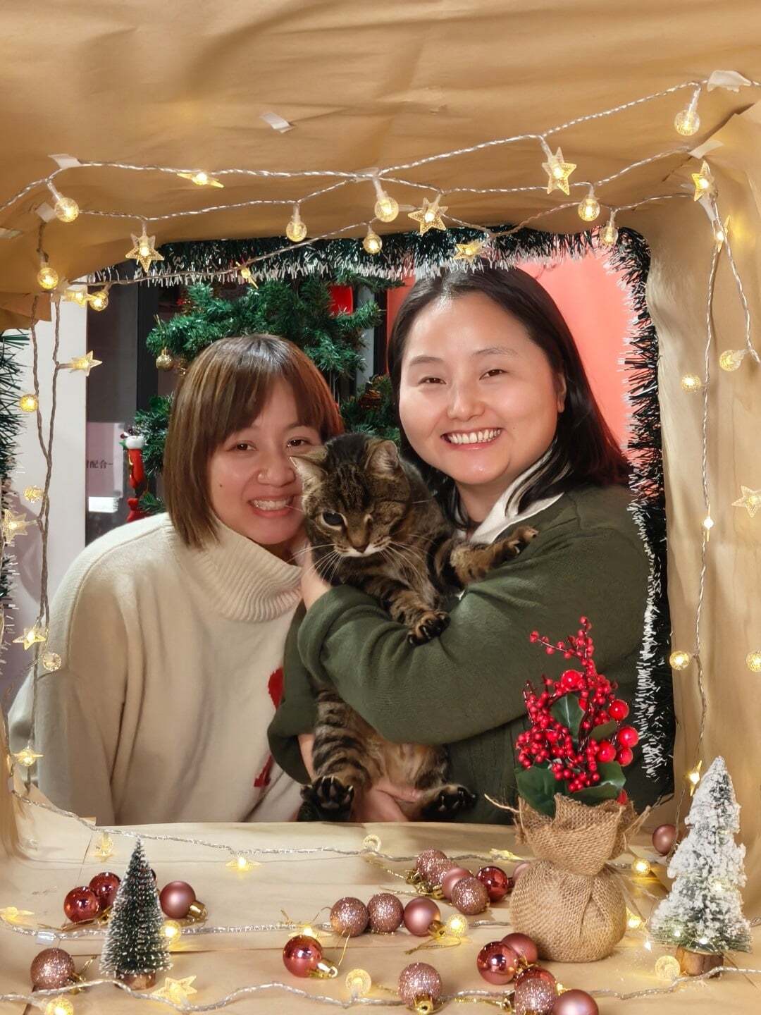 Christmas photo with company cat