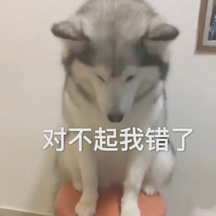 memes of saying sorry in chinese 6